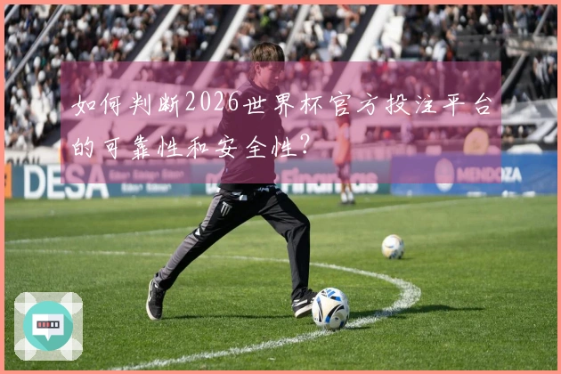 如何判断2026世界杯官方投注平台的可靠性和安全性?