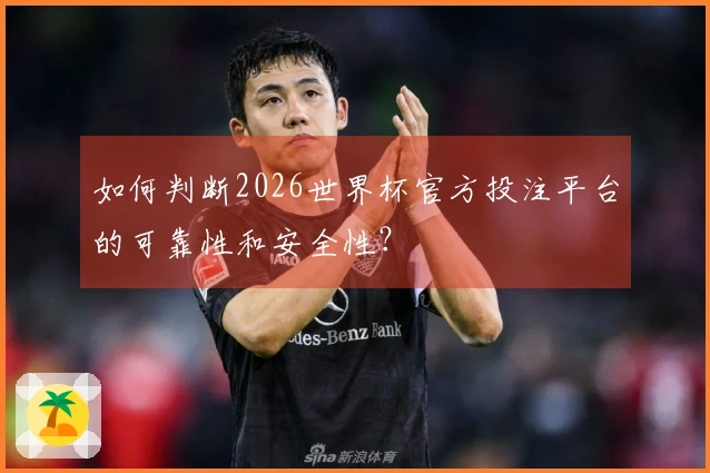 如何判断2026世界杯官方投注平台的可靠性和安全性？