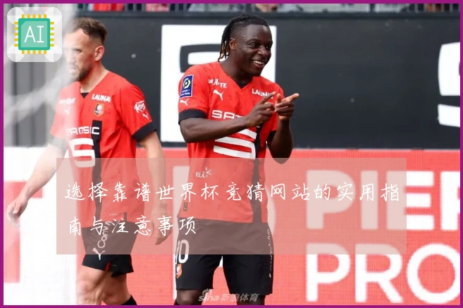 选择靠谱世界杯竞猜网站的实用指南与注意事项