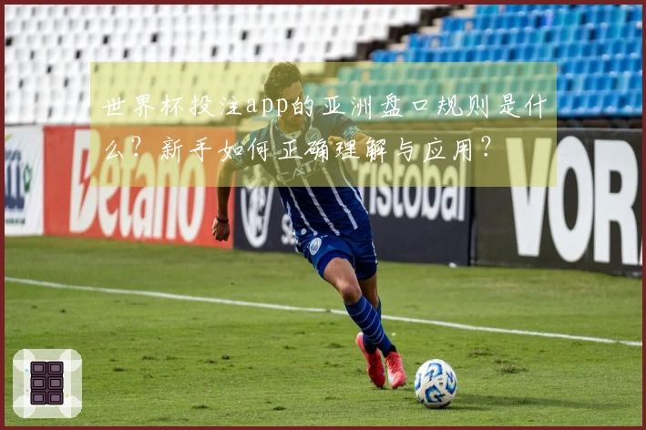 世界杯投注app的亚洲盘口规则是什么？新手如何正确理解与应用？