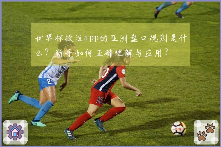 世界杯投注app的亚洲盘口规则是什么？新手如何正确理解与应用？
